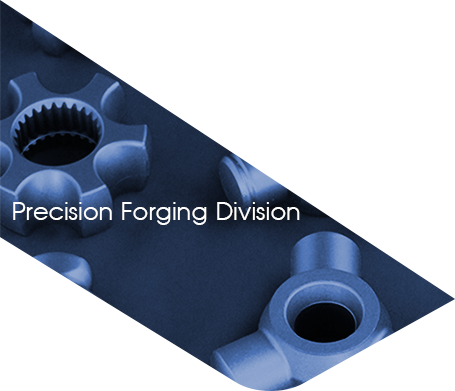 Precision Forging Division