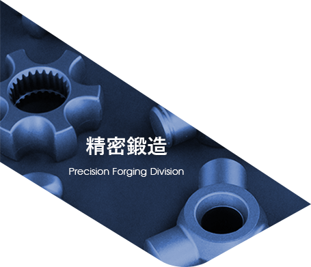 Precision Forging Division